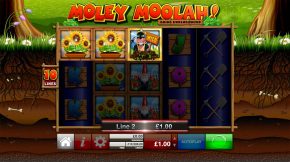 Moley moolah wild gewinnen