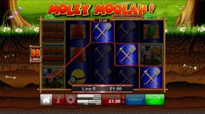 Moley moolah gewinnen