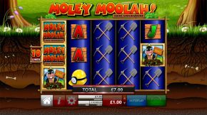 Moley moolah gewinnen2