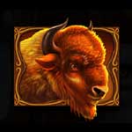 Wild Bison Bison Symbol