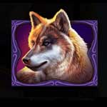 Wild Bison Wolf Symbol