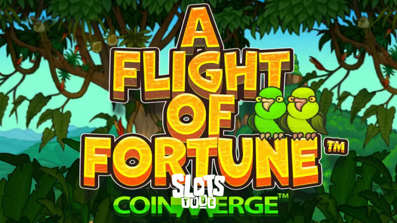 A Flight of Fortune Kostenlos Demo