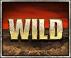 D-Day Wild Symbol