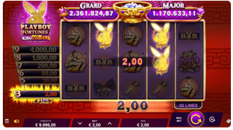 Playboy Fortunes King Millions Eigenschaften