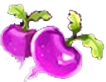 Rabbit Fields Radieschen Symbol