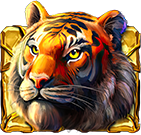 Rainforest Gold Tigersymbol