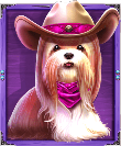 The Dog House - Dog or Alive Rosa Hund Symbol