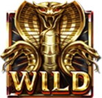 Tomb of Gold Wild Symbol