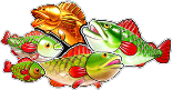 Big Bass Secrets of The Golden Lake Fisch Symbol