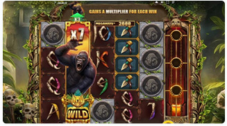 Primate King Megaways Spielverlauf