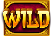 Rise of Samurai IV Wild Symbol