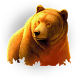 Wild Survivor Bär Symbol