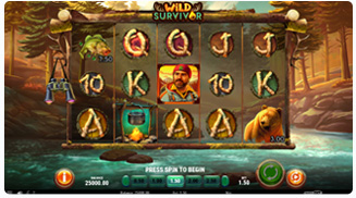 Wild Survivor Spielablauf