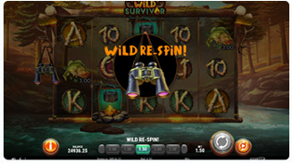 Wild Survivor Rücklauf