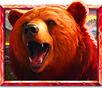 5 Wild Buffalo Bär Symbol