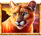 5 Wild Buffalo Cougar Symbol