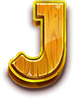 5 Wild Buffalo J Symbol