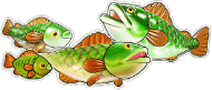 Big Bass Bonanza Reel Action Fischsymbole