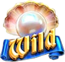 Cannonball Cash Wild-Symbol