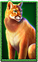 Buffalo King Untamed Megaways Puma Symbol