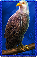 Buffalo King Untamed Megaways Adlersymbol