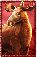 Buffalo King Untamed Megaways Elch Symbol