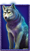 Buffalo King Untamed Megaways Wolfs Symbol