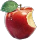 St Louis 1904 Apfel Symbol