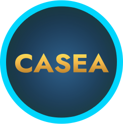 Casea Online-Bewertung