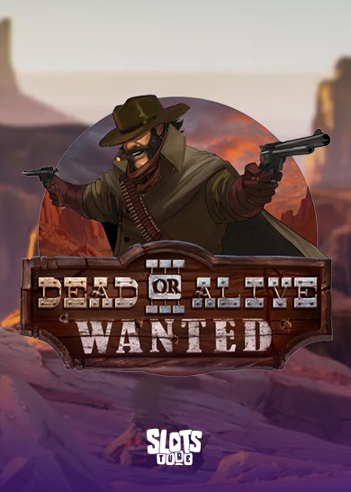 Dead or Alive 3 Slot Bewertung