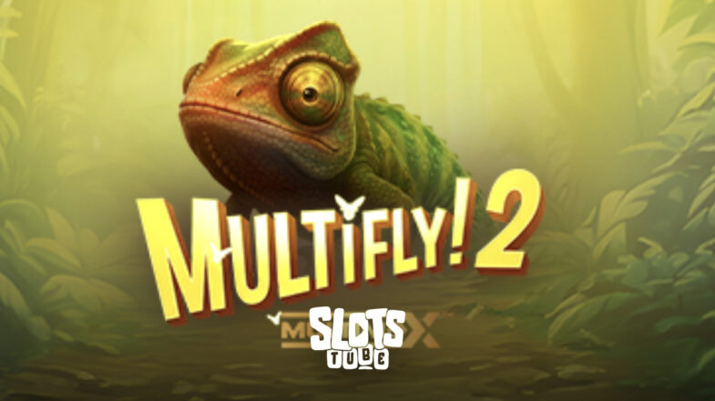 MultiFly 2 Demo