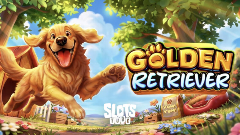 Golden Retriever Kostenlose Demo